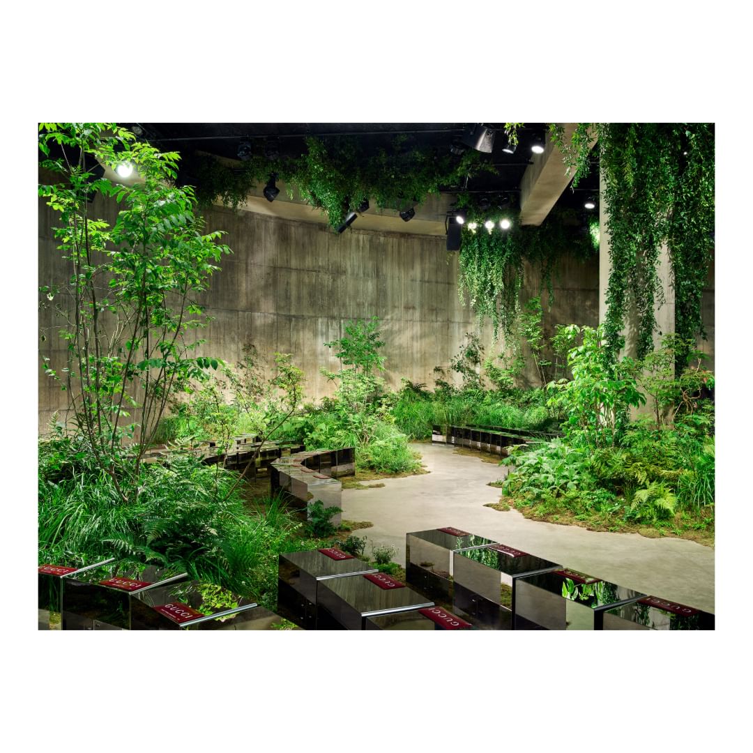 Lush indoor garden with dense greenery, concrete walls, and unique mirrored bench seating creates a natural yet modern aesthetic.