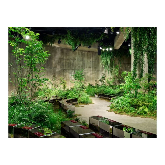Lush indoor garden with dense greenery, concrete walls, and unique mirrored bench seating creates a natural yet modern aesthetic.