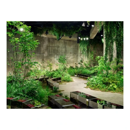Lush indoor garden with dense greenery, concrete walls, and unique mirrored bench seating creates a natural yet modern aesthetic.