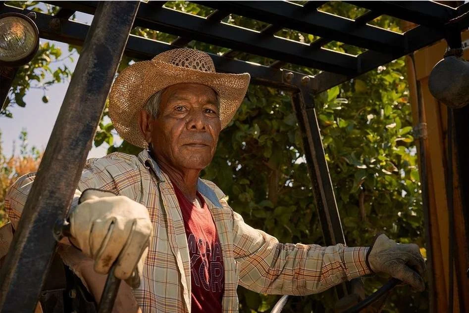 Adult male in a straw hat drives a yellow forklift outside, surrounded by green trees and bathed in warm sunlight, wearing working gloves.