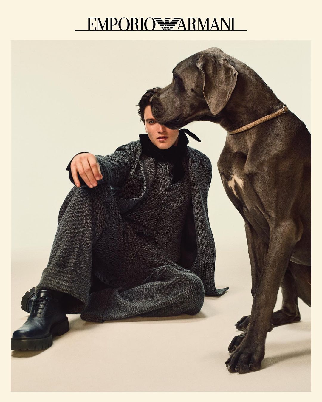 An adult male model in gray suit sitting indoors with a large gray Great Dane dog next to him in a studio fashion shot.