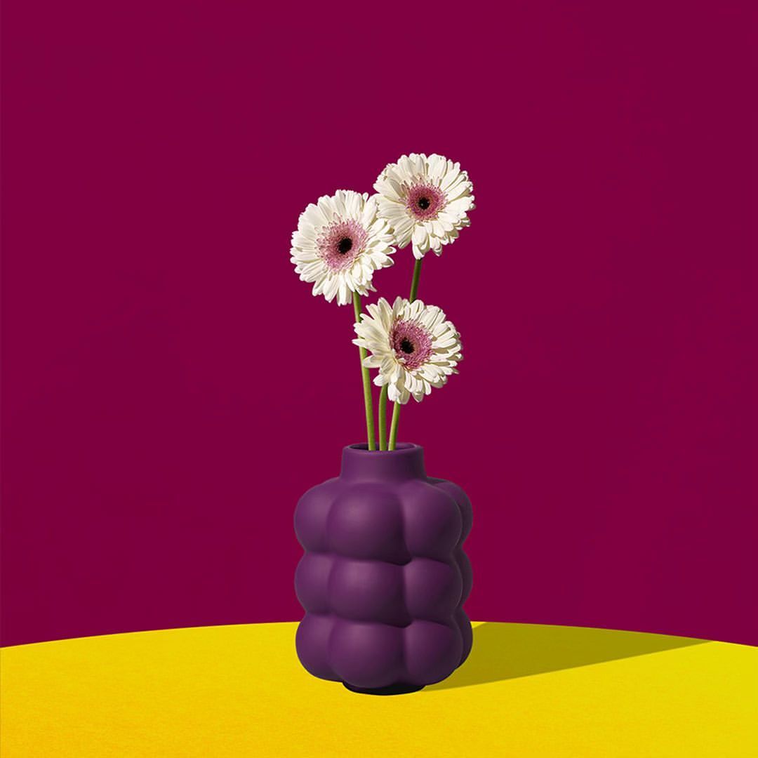 Three white gerbera daisies in a dark purple vase against a split backdrop of magenta and yellow, casting a soft shadow.