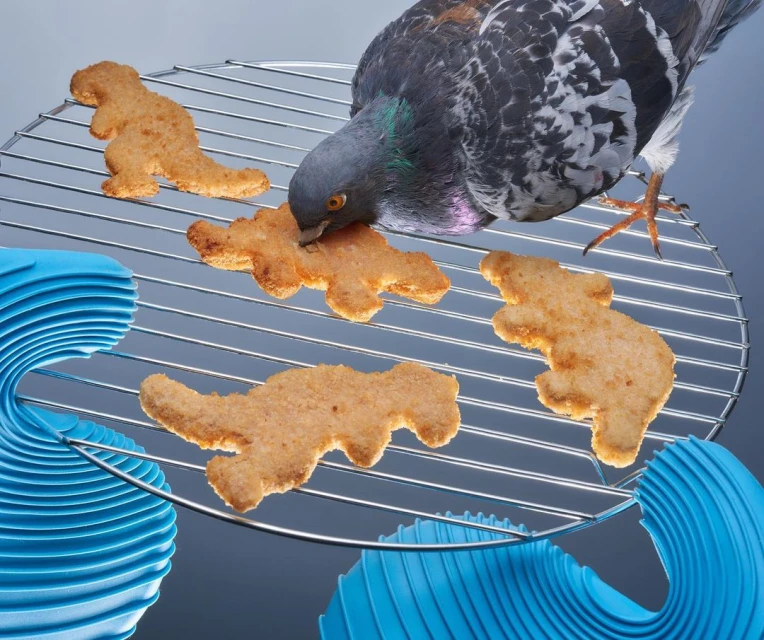 Pigeon perched on metal grate, eating dinosaur-shaped cookies among blue wave objects against a dark grey backdrop.