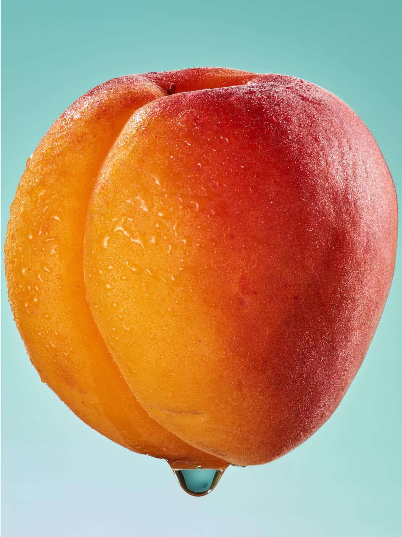 Close-up studio shot of a fresh apricot with water droplets and a hanging drop, set against a light blue background.
