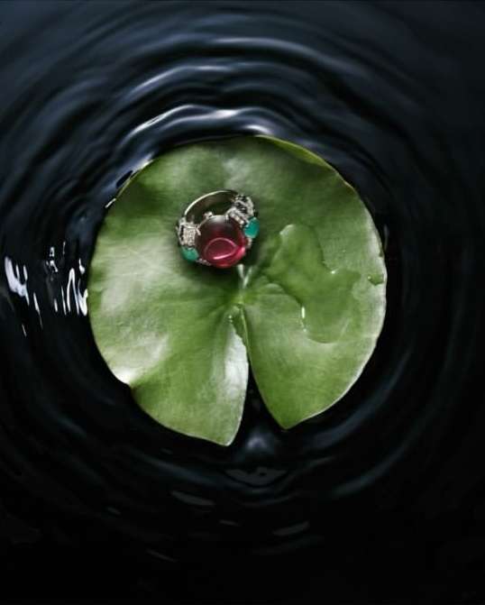 An eye-level, close-up showcases a ring with ruby and emerald stones, resting on a vibrant green lily pad floating in dark water.