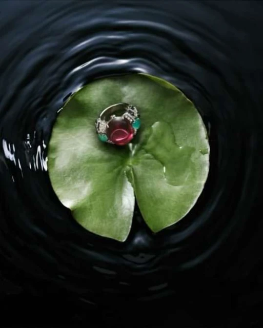 An eye-level, close-up showcases a ring with ruby and emerald stones, resting on a vibrant green lily pad floating in dark water.