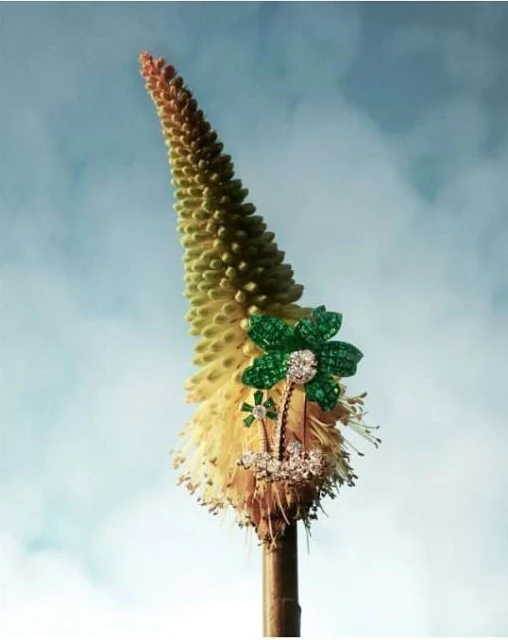 Floral-themed jewelry displayed on a flower stalk against a sky backdrop, showcasing fine craftsmanship and natural elegance.
