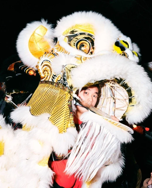 Person in a lion dance costume with white fur and gold accents performing for a celebration, portrait orientation.
