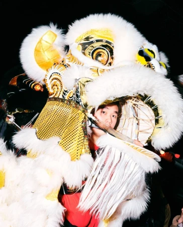Person in a lion dance costume with white fur and gold accents performing for a celebration, portrait orientation.