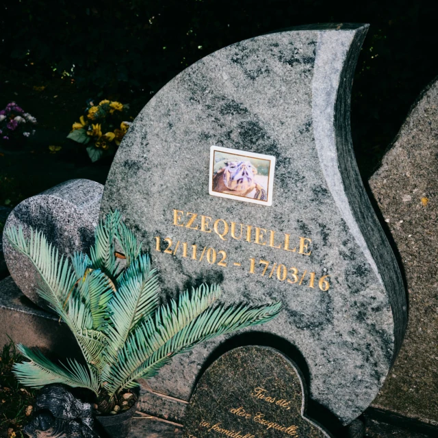 Granite headstone with a photo and inscriptions, surrounded by greenery and flowers in a cemetery setting under natural lighting.