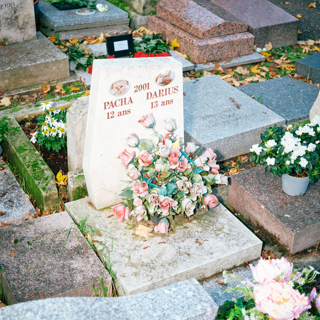 Grave markers in a cemetery with stone headstones, weathered grave slabs, and bouquets of artificial flowers in an outdoor setting.