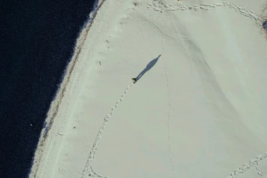 Overhead aerial view of a person walking on a snow-covered shoreline next to dark water, casting a long shadow.