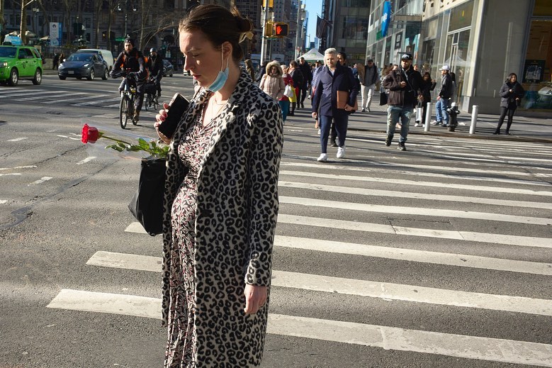 Woman in animal-print coat holds a red rose while crossing a pedestrian walkway in a city, with other pedestrians and cars visible.