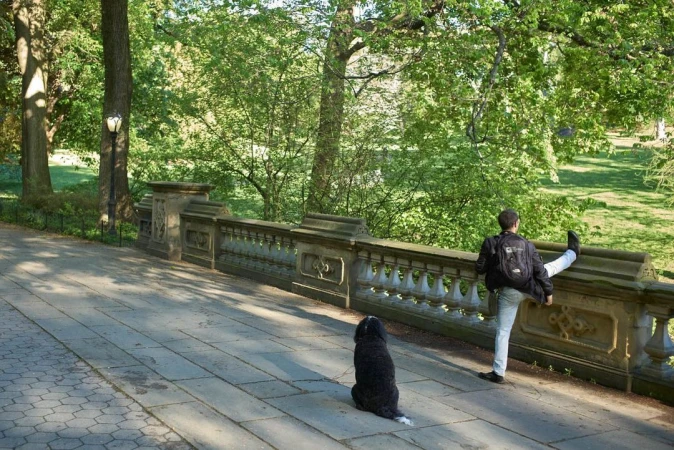 A man stretches his leg on a stone railing in a park beside a black dog sitting and looking at him, with green trees in the background.
