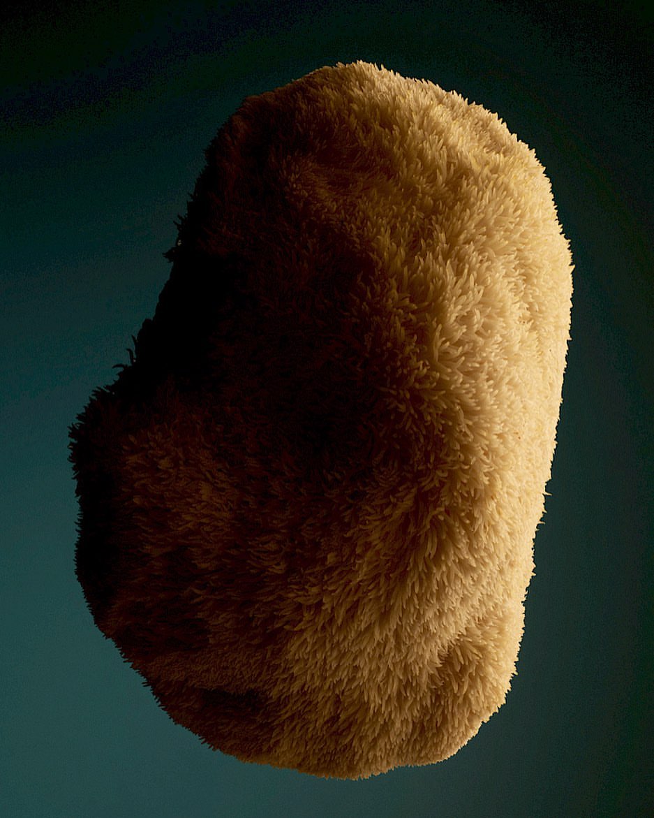 Abstract close-up of soft, fluffy, off-white texture against a dark blue-green background, showcasing subtle lighting.