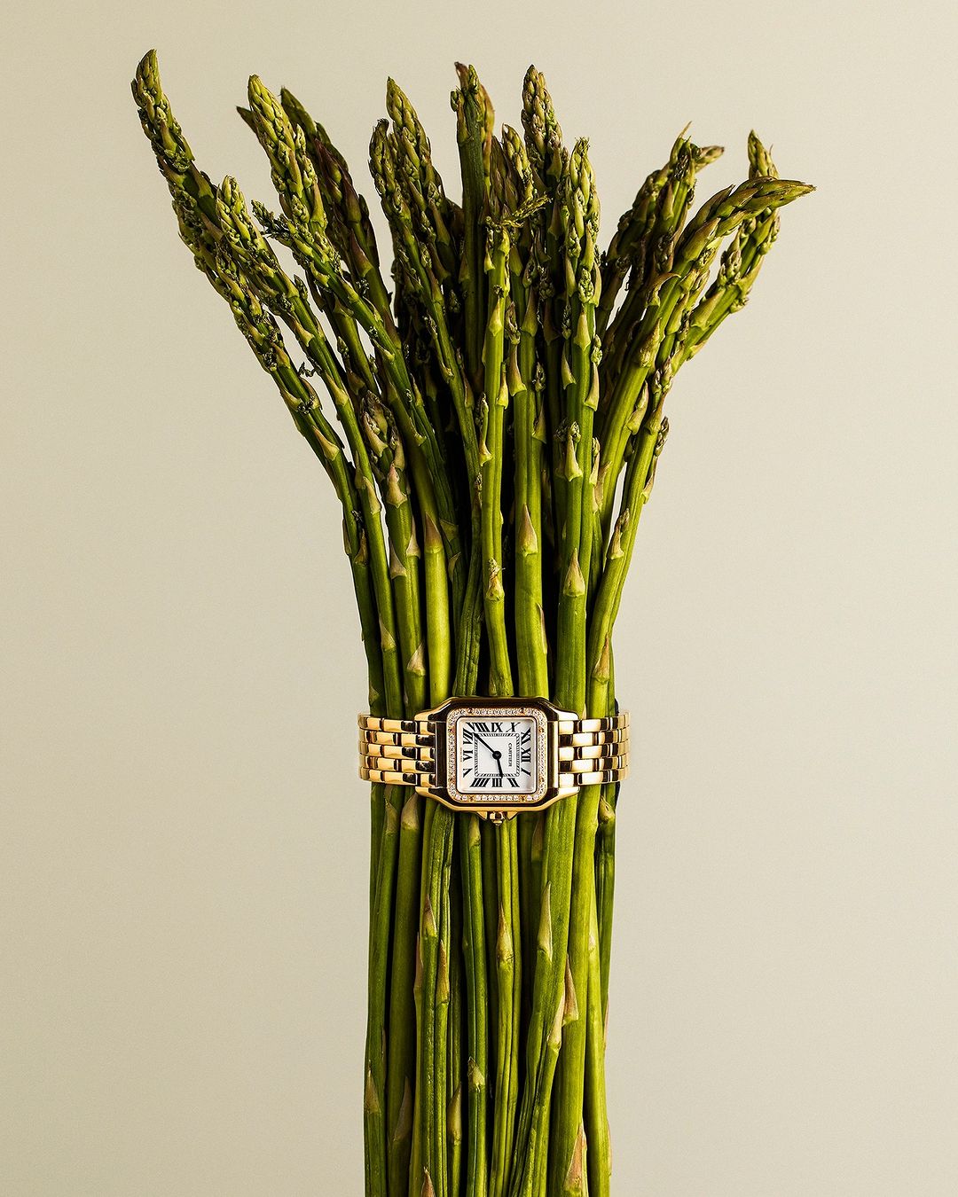 Still life studio shot of green asparagus stalks bundled with a gold wrist watch on a cream background showcasing luxury food and lifestyle.