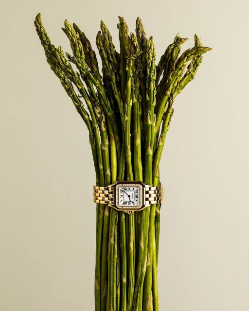 Still life studio shot of green asparagus stalks bundled with a gold wrist watch on a cream background showcasing luxury food and lifestyle.