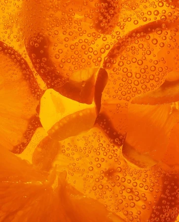 Close-up of orange slices submerged in bubbly liquid, creating a visually striking and refreshing abstract food and beverage composition.