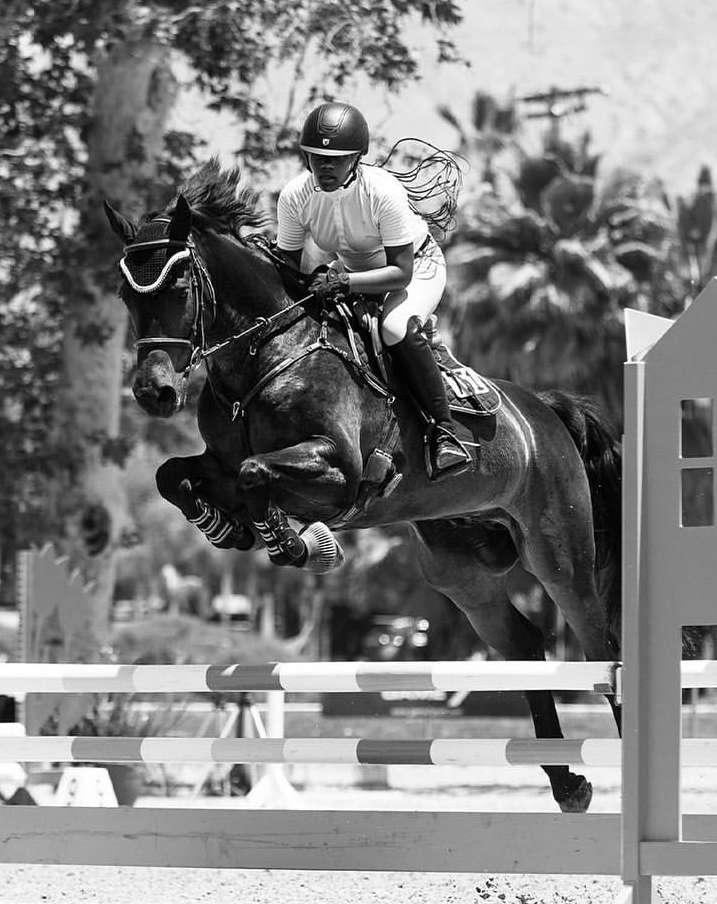 A black and white shot captures a horse and rider leaping over a barrier, embodying equestrian sport with trees in the background.