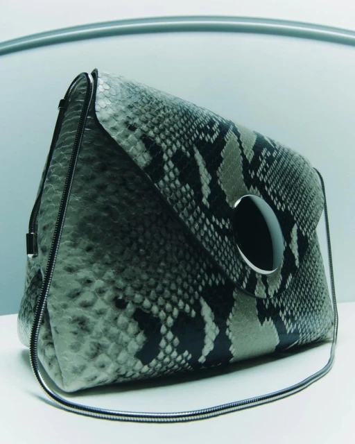 Fashionable snakeskin clutch purse with a metal closure and chain strap, photographed in a studio setting.