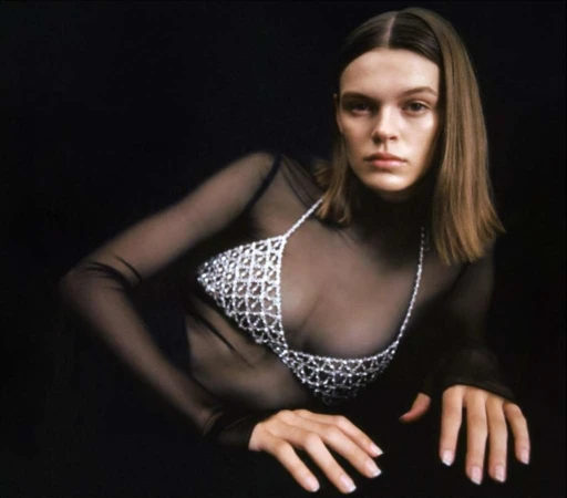 Model wearing a sheer black top and crystal mesh chainmail bra against a dark background by Hanna Tveite