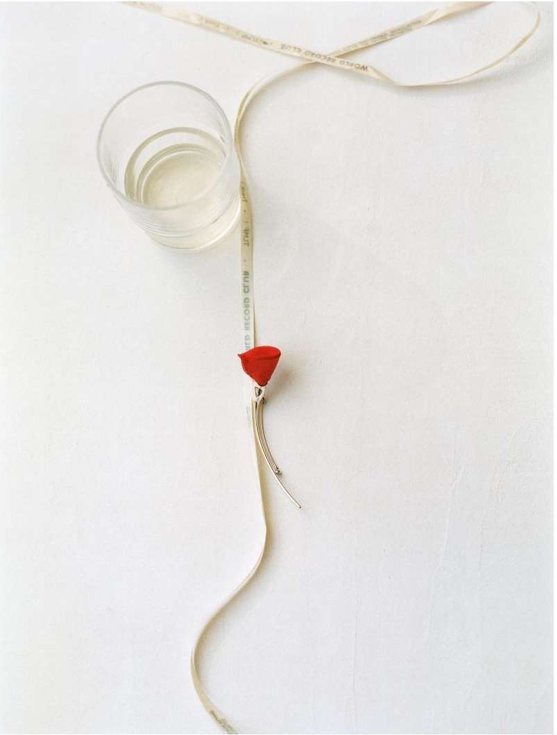 Elegant still life featuring a glass of liquid, red flower clip, and ribbon against a white backdrop, creating a minimalist composition.