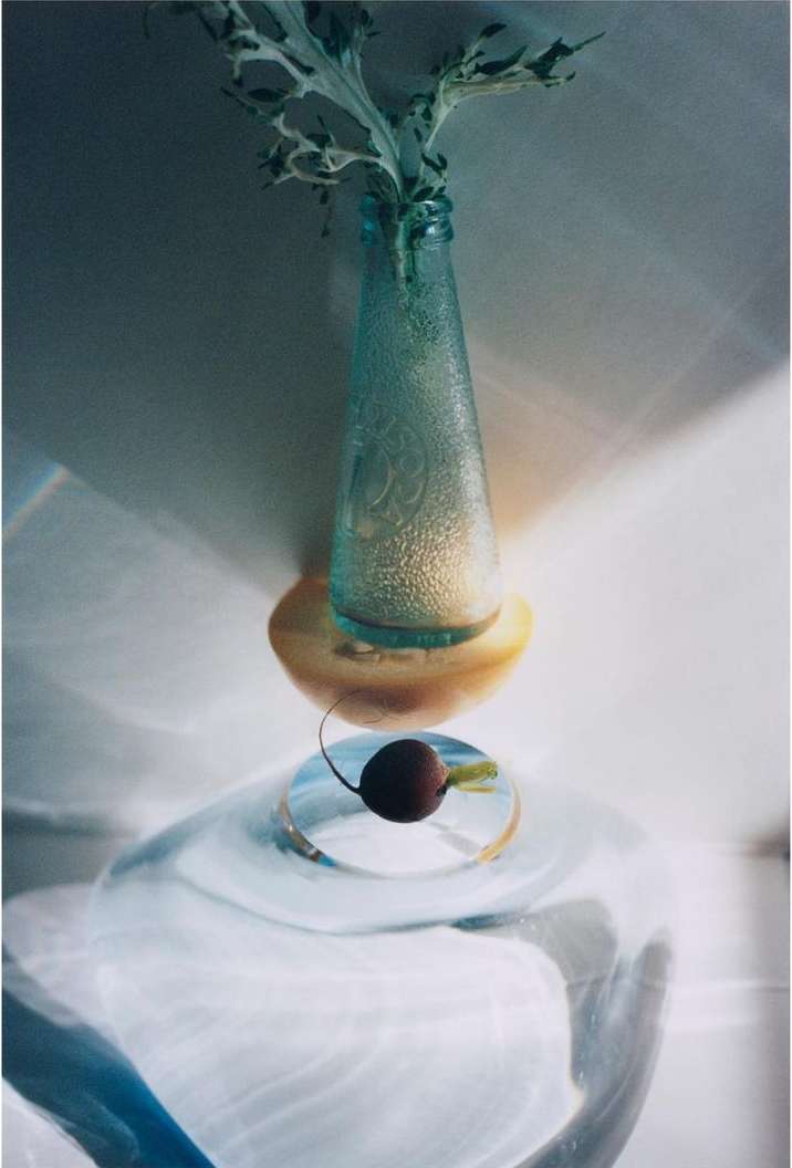 Still life with a blue glass bottle holding a plant stem, resting on yellow and clear glass surfaces in front of a white wall.