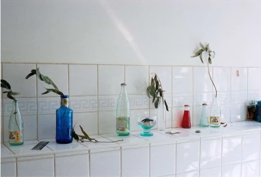 Collection of glass bottles holding green plant branches lined up on a white tiled counter in London by Hannah Rose.