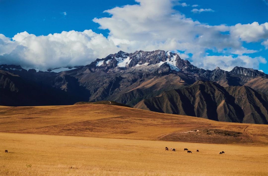 Scenic view of rugged mountains with snow-capped peaks under a blue sky with white clouds, and a vast grassy field in the foreground.