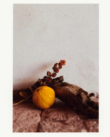 A still life photograph features a vibrant yellow lemon, a textured brown branch, and a cluster of small red berries against a neutral backdrop.