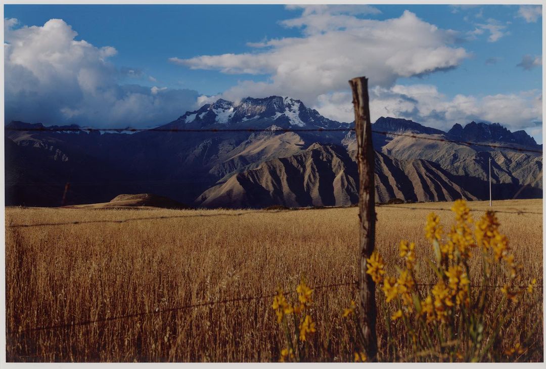 Scenic mountain vista with golden field, wooden fence, and yellow flowers under a partly cloudy blue sky in outdoor setting.