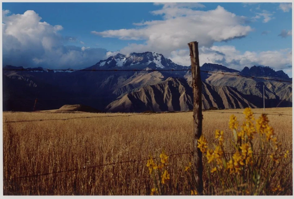 Scenic mountain vista with golden field, wooden fence, and yellow flowers under a partly cloudy blue sky in outdoor setting.
