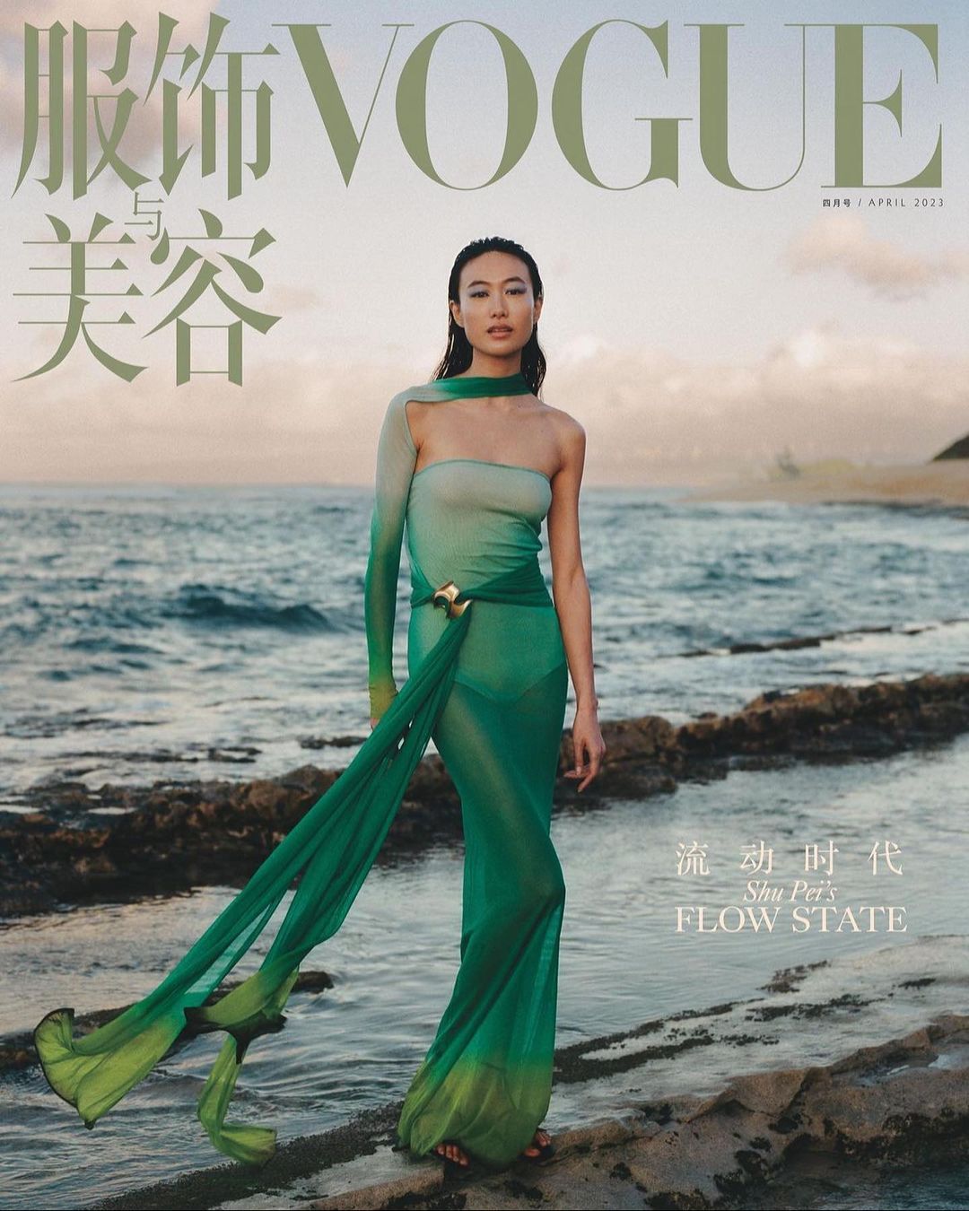 Vogue cover featuring an adult female model in a flowing green dress, posing on a rocky beach with ocean and sky visible in the background.