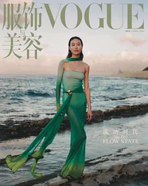 Vogue cover featuring an adult female model in a flowing green dress, posing on a rocky beach with ocean and sky visible in the background.