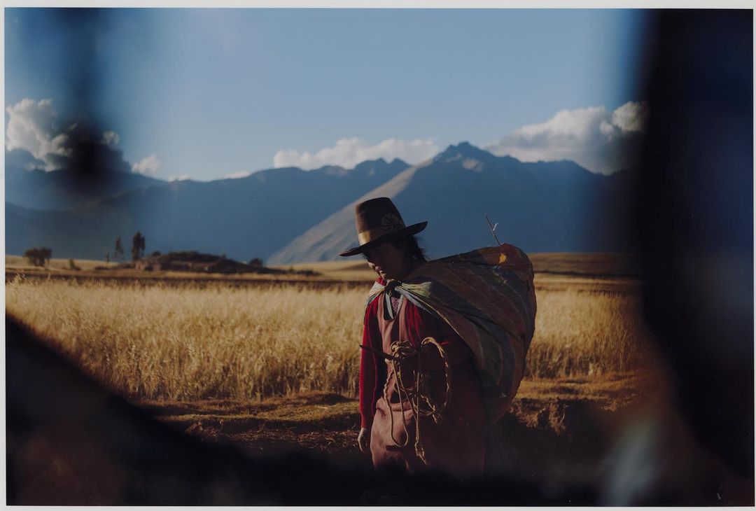 Rural scene of an adult wearing a hat and carrying a blanket, standing in a field of wheat with mountains in the background under a blue sky.