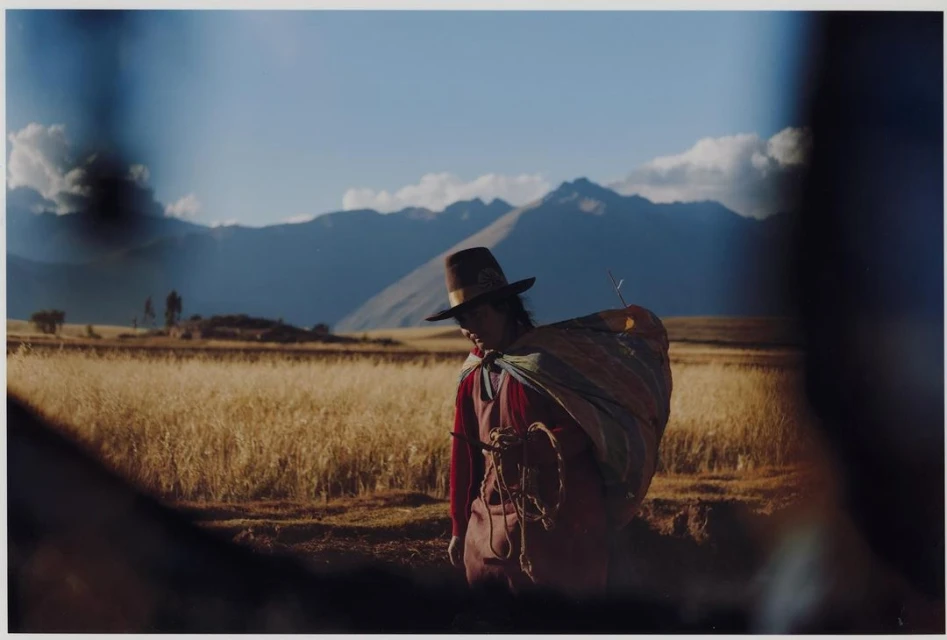 Rural scene of an adult wearing a hat and carrying a blanket, standing in a field of wheat with mountains in the background under a blue sky.