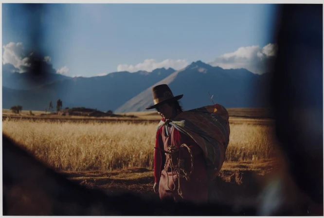 Rural scene of an adult wearing a hat and carrying a blanket, standing in a field of wheat with mountains in the background under a blue sky.
