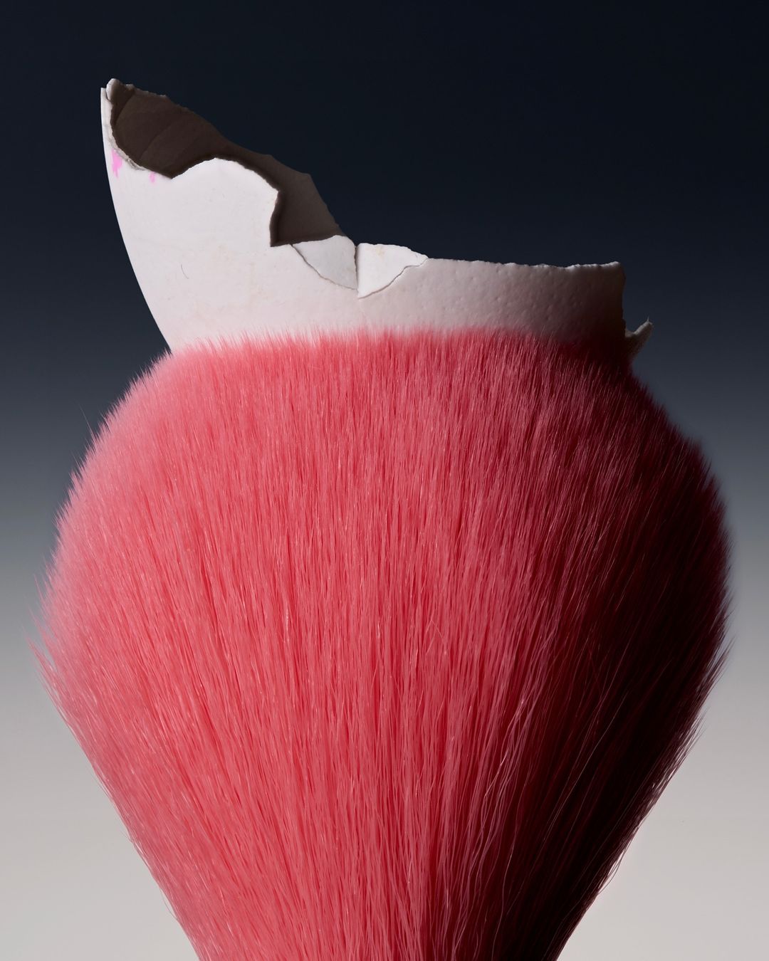 Close-up of a pink feather brush with a cracked eggshell, set against a gradient gray background, creating a surreal and artistic composition.