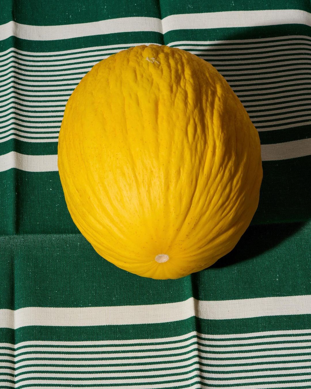 Still life shot of a vibrant yellow melon set against a green and white striped cloth, highlighting its texture and color contrast.