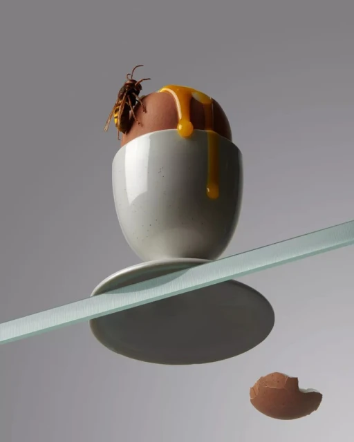 Close-up of an egg with dripping yolk in a white egg cup, a wasp on top, on a clear surface against a grey background. 
