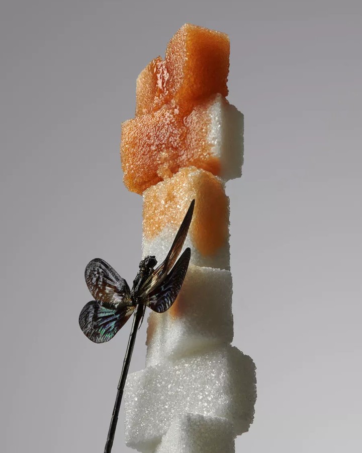 Still life composition of sugar cubes, some topped with an orange substance, and an ornamental dragonfly, set against a grey background.