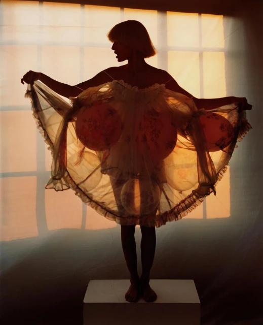 Silhouette of a woman in an artistic tulle dress standing on a pedestal against a window. Conceptual fashion photography with strong lighting.