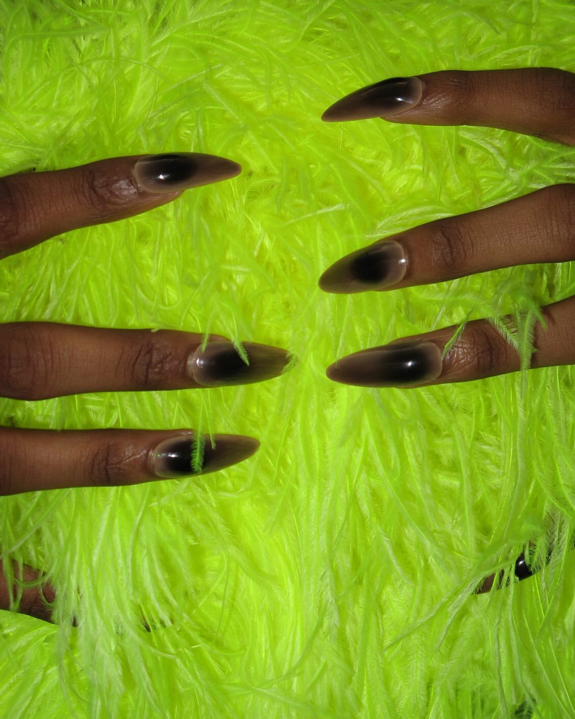 Close-up of six dark-skinned fingers with sharp almond-shaped nails, against a bright yellow-green feather-like textured background.
