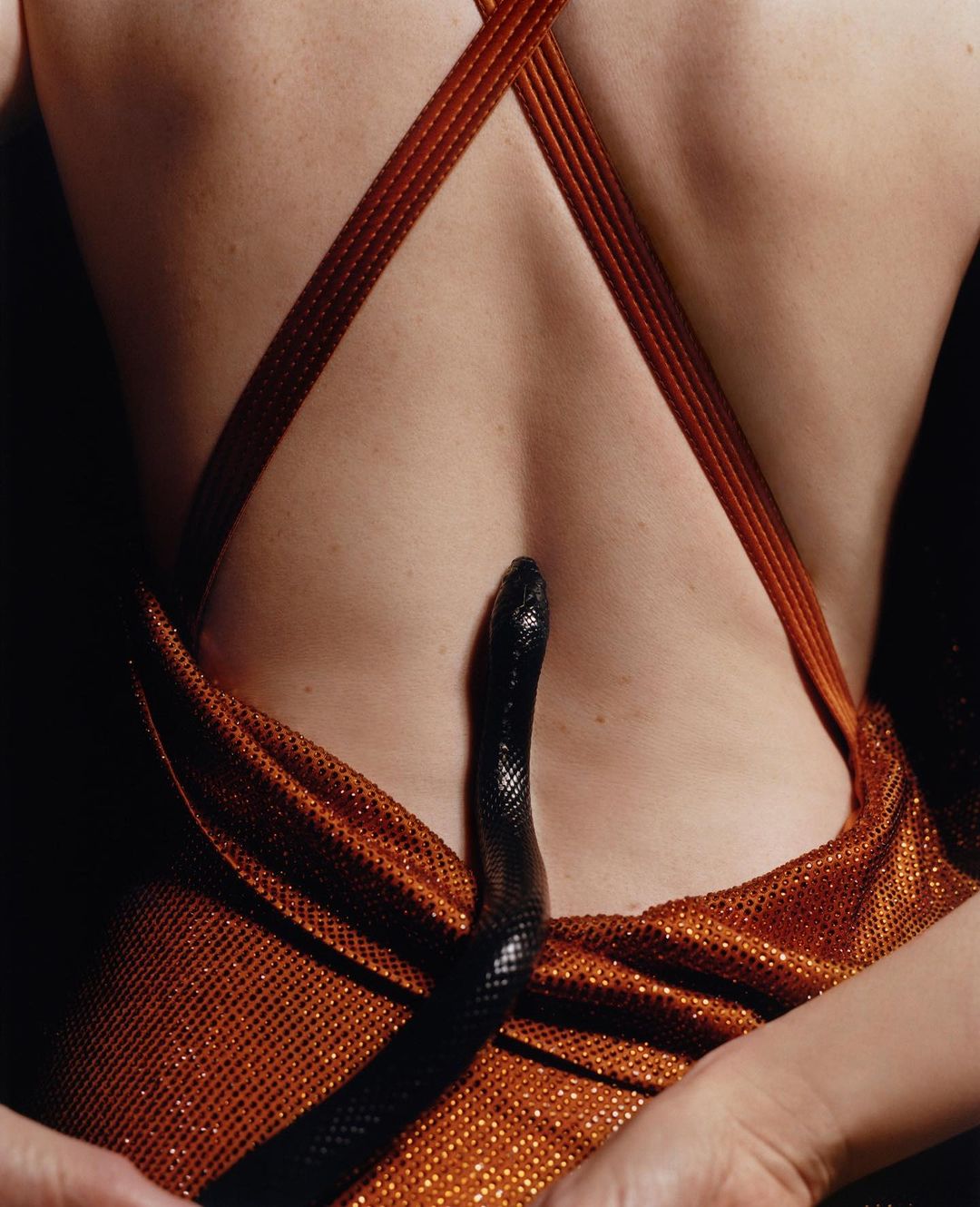 Rear view of a woman in a bronze-colored dress holding the hem, featuring a black snake draped across her bare back in a studio shot.