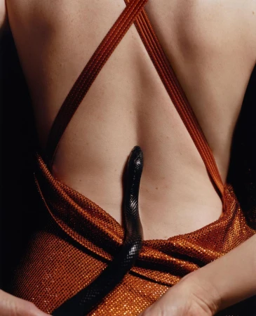 Rear view of a woman in a bronze-colored dress holding the hem, featuring a black snake draped across her bare back in a studio shot.