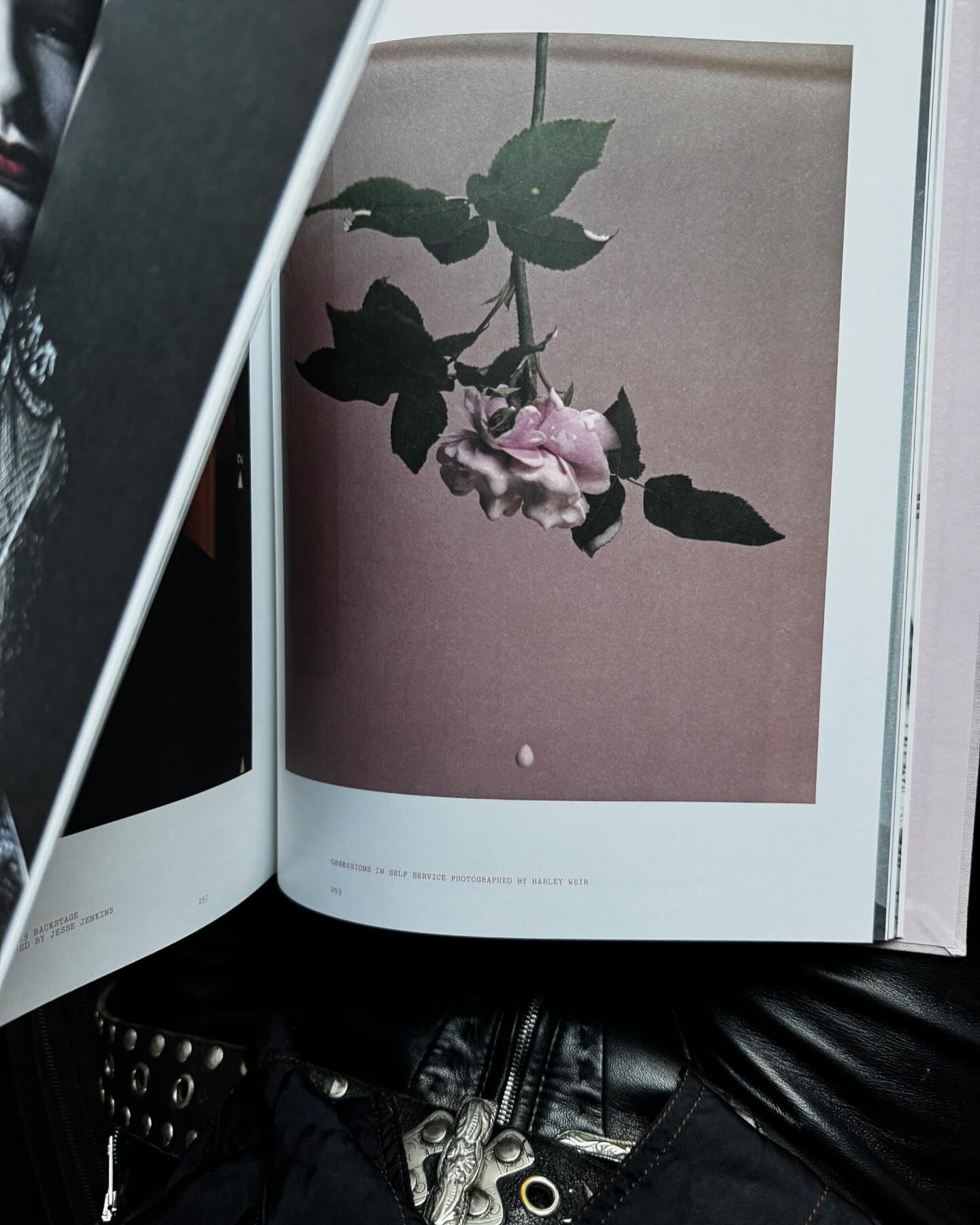 Open book features a photography page with a pink rose on a branch against a rose-colored background, with a glimpse of fashion in the foreground.
