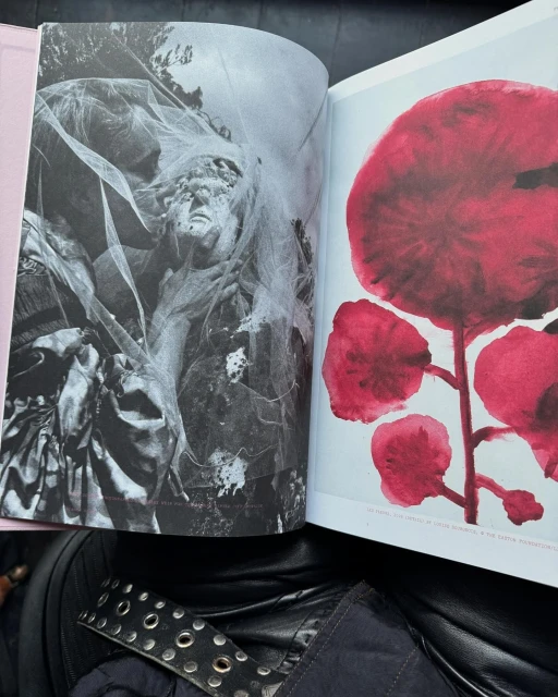 Open book displays black and white image of classical sculpture and watercolor painting of red flower against a white background.