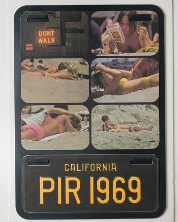Collage of vintage beach scenes and a California license plate featuring sunbathers and a crosswalk sign, set in a black frame.