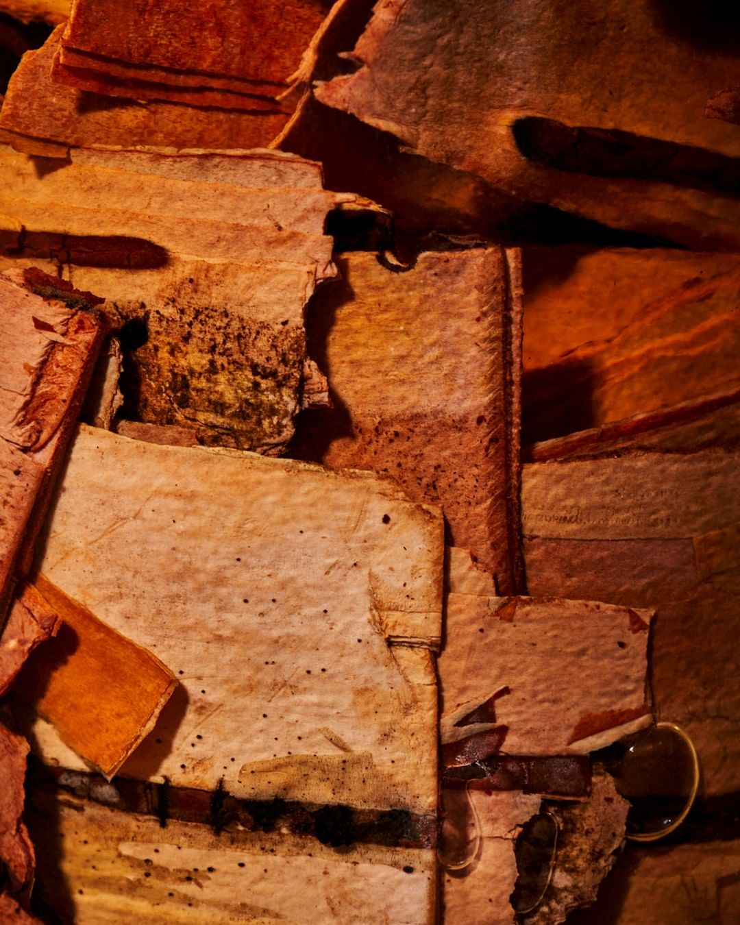 Abstract close-up of layered, textured paper pieces in warm tones of brown, tan, and orange with subtle shadows and organic shapes.