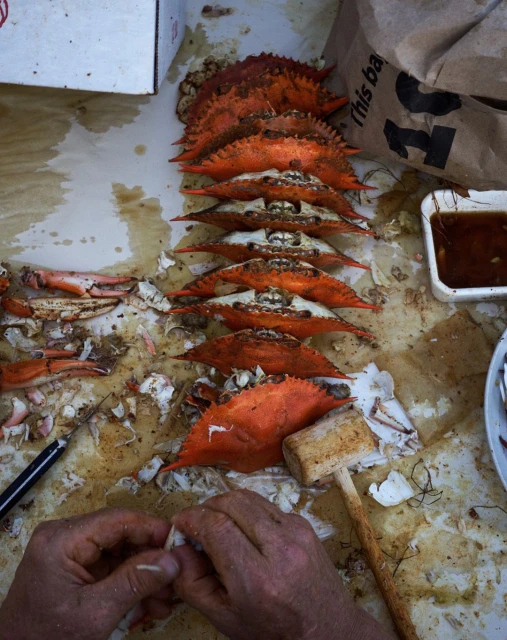 Overhead shot of a table with steamed blue crabs, a mallet, and a person's hands preparing to crack open a crab.
